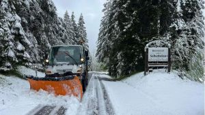 Torna la neve sui monti del Friuli Venezia Giulia