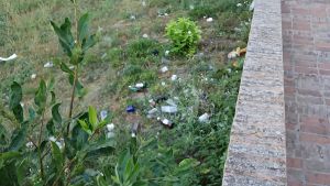 San Giovanni Valdarno, al via gli interventi di manutenzione del verde nei parcheggi pubblici