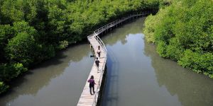 The Global Water Cycle Is Critical Infrastructure