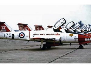 Scott Taylor: Clipping Snowbirds’ wings would be unpopular