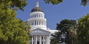 California Capitalism Meets the Moment