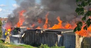Allotment blaze destroys vegetable patches and shatters greenhouses