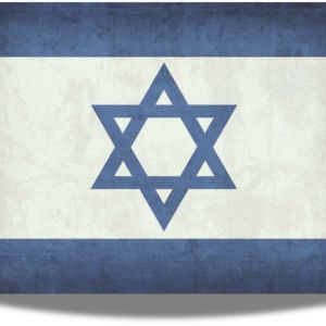 Zionism and the Question ‘For What?’ (Bemidbar)