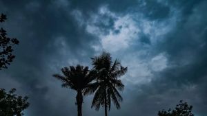 IMD issues yellow alert in several Kerala districts, southwest monsoon likely by May 26