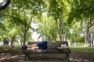 Idées | Habiter le français