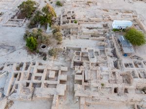 How ancient seeds are rewriting the history of biblical-era trade with Arabia