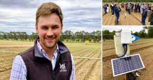 Water is 'the new gold' as major farm estate trials drip irrigation for onions