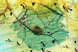 The empty nest is calling — and I’m ready