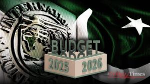 The Budget That Reflects A Fragmented Economy
