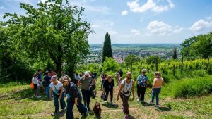 Arriva la Festa da Viarte tra profumi del Collio, musica, natura e sapori