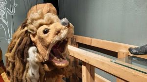 Rivivono ottanta marionette di Vittorio Podrecca: un patrimonio recuperato