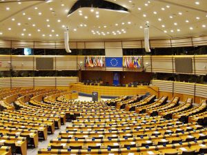 Indian Leaders Meet Grzegorz Braun in Brussels