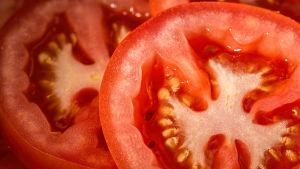 Tomates