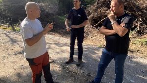Cedui di castagno. Come gestire in modo sostenibile i cantieri forestali