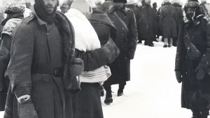 Disperso in Russia, un appassionato di storia ritrova la piastrina. E la riconsegna ai familiari dopo 83 anni
