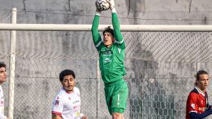 Carpi, i movimenti di mercato