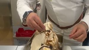 Casoria, sedicenne muore dopo aver mangiato un gelato