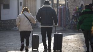 Srbi Svetosavci kod neprijatelja: Srbi, Njemačka i logika jedne kontradikcije