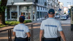 Obbligo di bottiglietta per i cani e la pulizia dei graffiti a carico dei proprietari: ecco l’ordinanza per il decoro a Pordenone