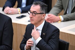 Wozu werden die Grünen gebraucht?