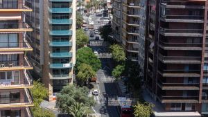 Alicante necesita un líder