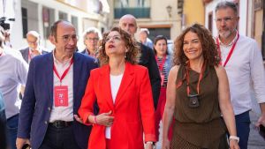 Vox es el único consuelo del PSOE andaluz