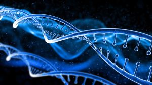 Craig Venter’s genome lesson: Smallest cell, big secrets