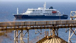 El crucero del hantavirus