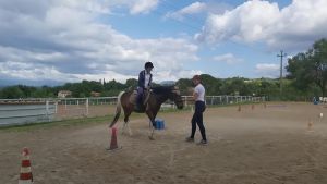 Equitando, sport e inclusione a Montespertoli: il cavallo come palestra di fiducia