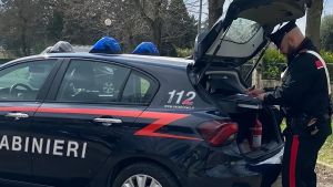 Guastalla, lite di vicinato sfocia in una denuncia