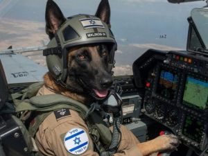 Barking mad conspiracies stoke anti-Jewish hate