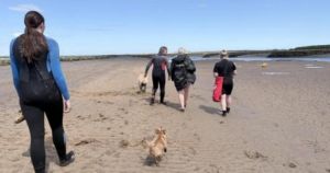 Surfers and swimmers protest over sewage in seas and rivers