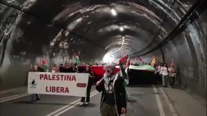 A Trieste il corteo Usb pro Palestina: presenti un centinaio di persone