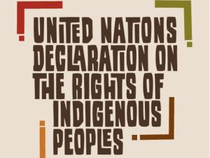 Donna Kennedy-Glans: First Nations are stalling small projects, sidelining other stakeholders