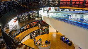 The UK must embrace its libraries in the age of AI