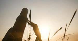 2 Signs That You're Resilient