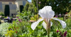 Garden dedicated to famous figure taking centre stage at Sandringham Flower Show