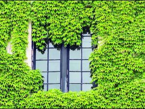 India’s $1 trillion import dependence makes green transition a strategic necessity