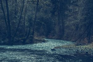 Redemptive Antisemitism 2.0: A Quieter Logic