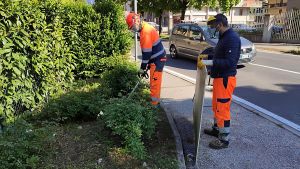 Pulizia giardini affidata a Set