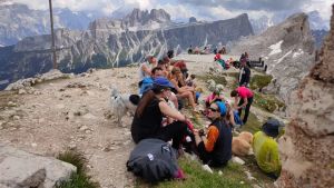 Traino olimpico per Cortina, le prenotazioni crescono del 9 per cento