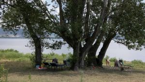 Acqua pulita, via libera ai tuffi al Lido di Staranzano. E scatta anche la pulizia in spiaggia