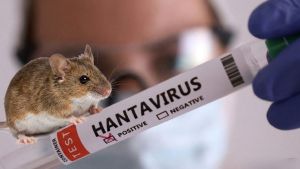 Hantavirus, New Pandemic & Biosecurity Fears: Why ‘R’ New Public Health Threats Emerging in the Shadow of a BSL-4 Level Lab in Argentina?