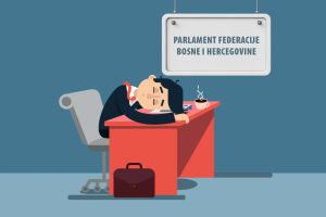 Federalna kopija Skupštine BiH?