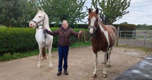 'Overlooked' horse FINALLY finds forever home after three years at rescue centre