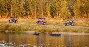 Building firm creates pond dipping stations for wildlife reserve