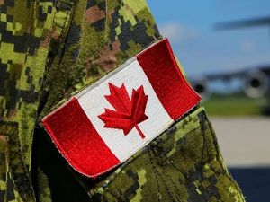 Tasha Kheiriddin: It would be unwise for Carney to dismiss U.S. pulling out of defence board Like it or not, Canada’s defence is geographically wedded to that of the U.S.