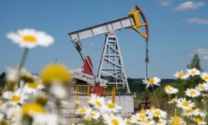 Pakistan can buy Russian oil after US offers 30-day relief to energy-vulnerable countries