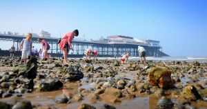 Potential 'tourist tax' on people staying in Norfolk comes under fire