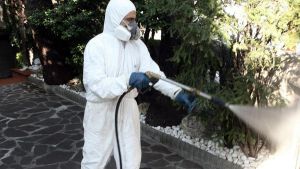 Blatte al liceo Michelangiolo di Firenze, ipotesi bravata. “Eseguita la bonifica”